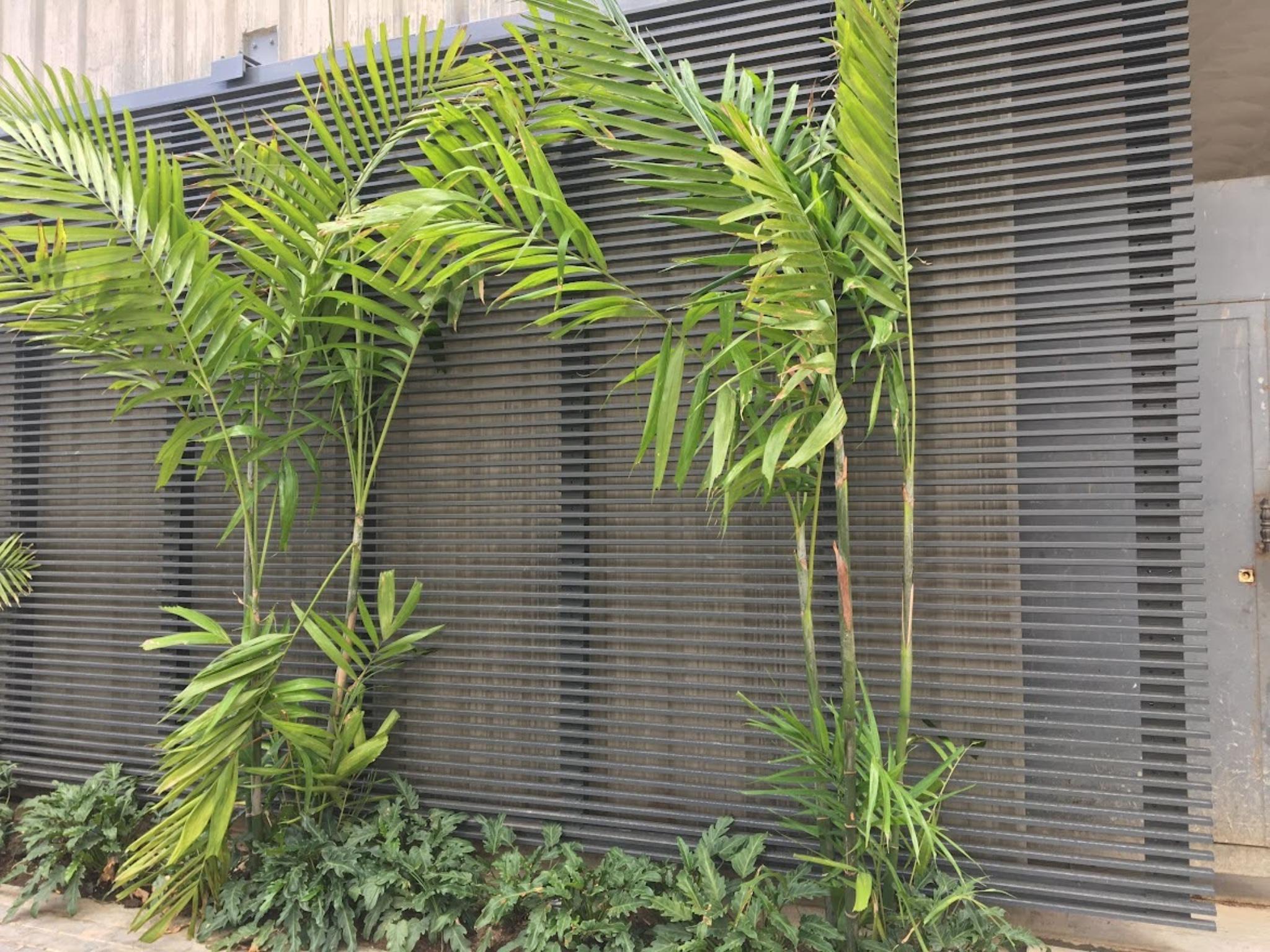 Envolvente louvers 5
